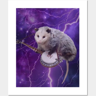 Banjo possum Posters and Art